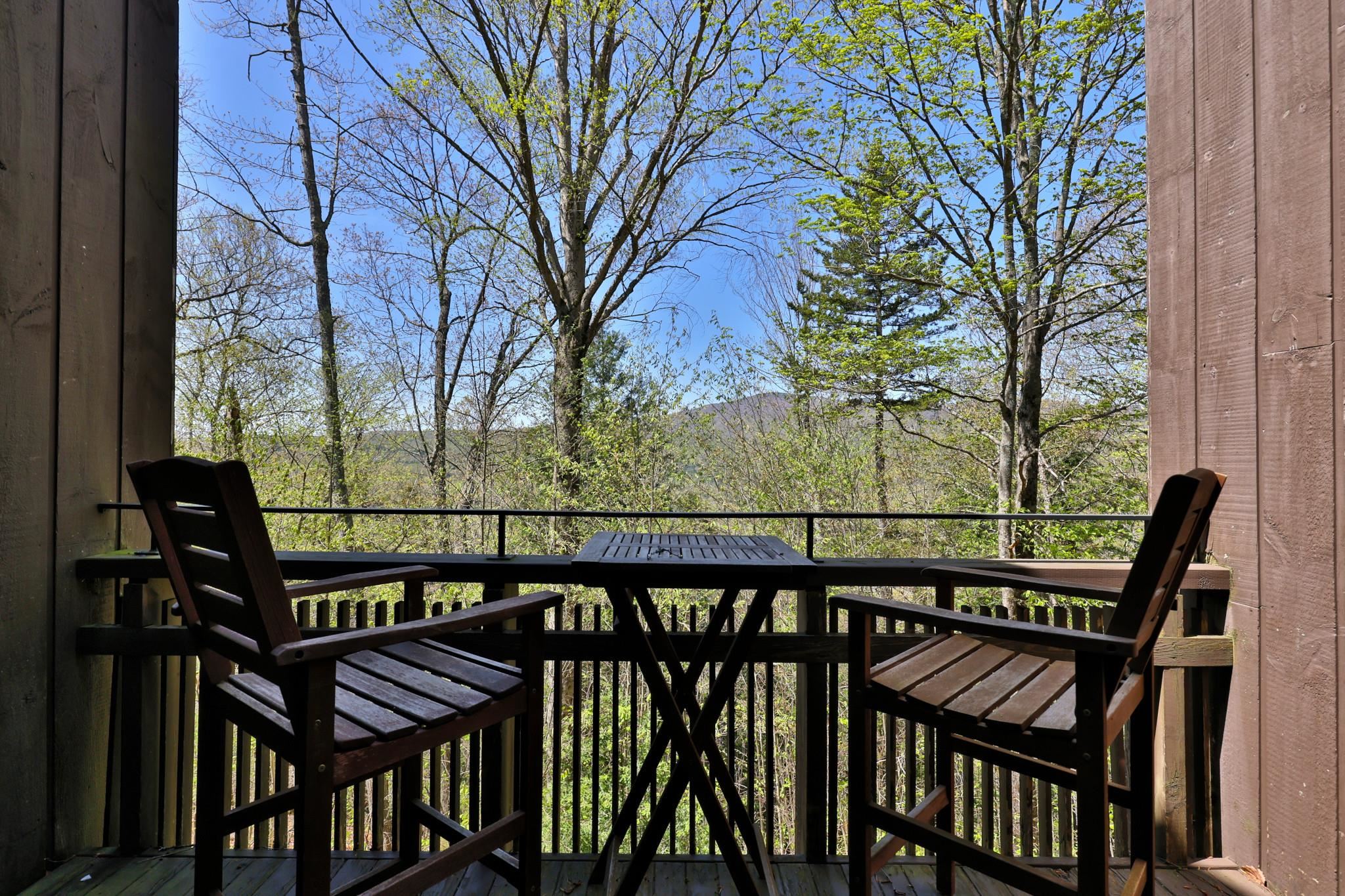 1226 East Ash Road, Unit L33 Plymouth, VT 05056 - Photo 8 of 45