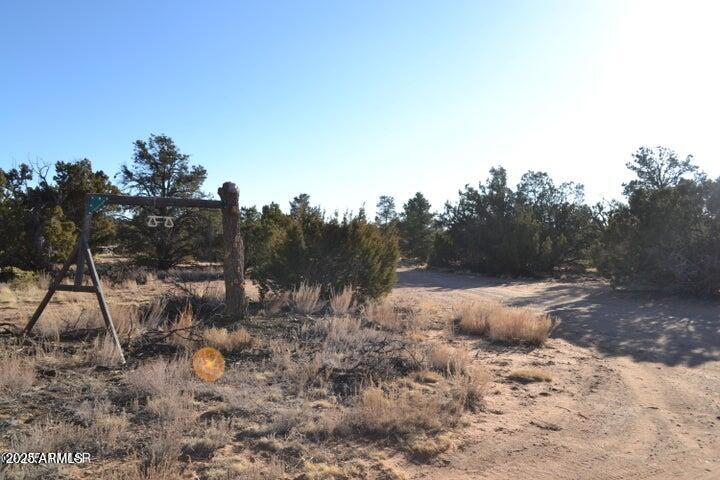 74 N8355 Loop Concho, AZ 85924 - Photo 28 of 39 20250129224116043697000000-o