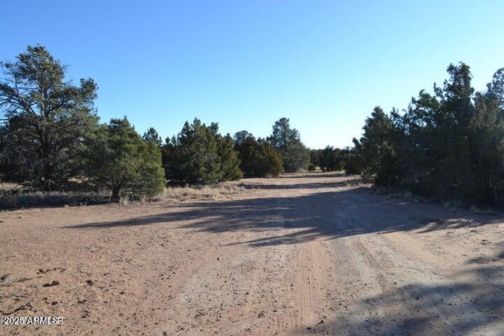 74 N8355 Loop Concho, AZ 85924 - Photo 29 of 39 20250129224125107937000000-o