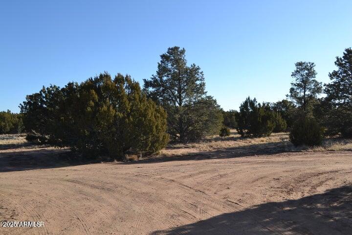 74 N8355 Loop Concho, AZ 85924 - Photo 30 of 39 20250129224129501407000000-o
