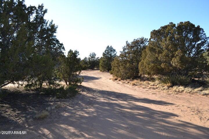 74 N8355 Loop Concho, AZ 85924 - Photo 32 of 39 20250129224138715091000000-o