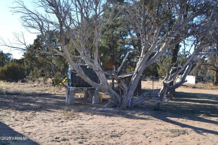 74 N8355 Loop Concho, AZ 85924 - Photo 39 of 39 20250129224213672998000000-o