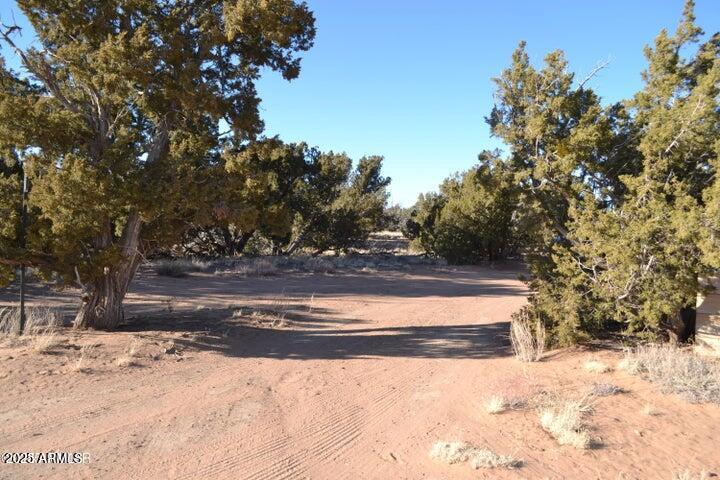 74 N8355 Loop Concho, AZ 85924 - Photo 7 of 39 20250129224120906273000000-o