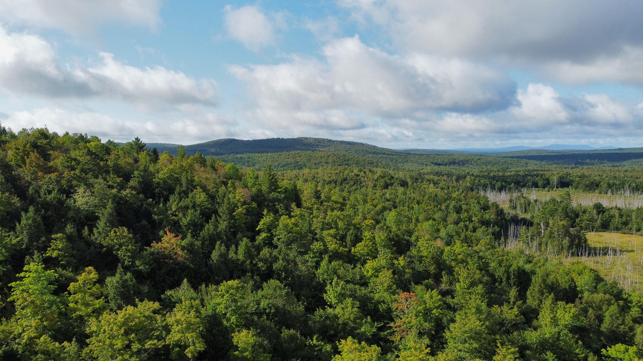 Lot 8-9 Moores Road Springfield, ME 04487 - Photo 1 of 22 1