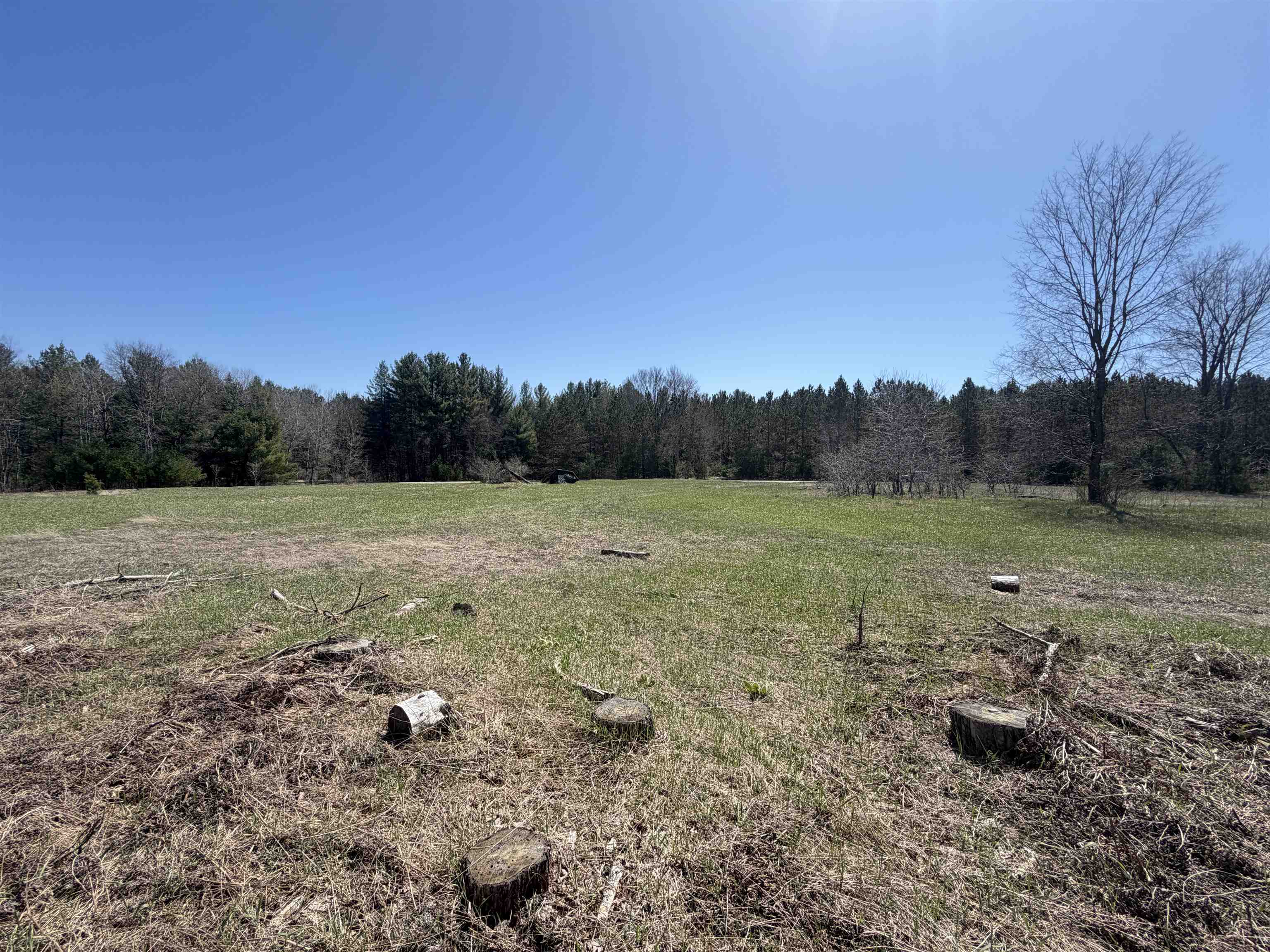 0 Landis Road Thompsonville, MI 49683 - Photo 8 of 26