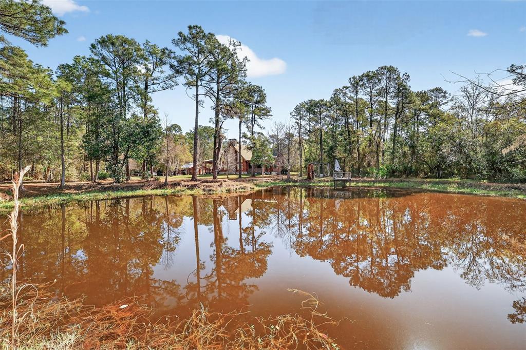 40242 Emeralda Island Road Leesburg, FL 34788 - Photo 25 of 32