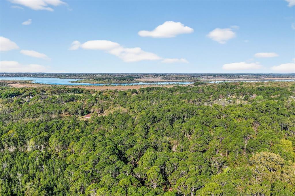 40242 Emeralda Island Road Leesburg, FL 34788 - Photo 28 of 32