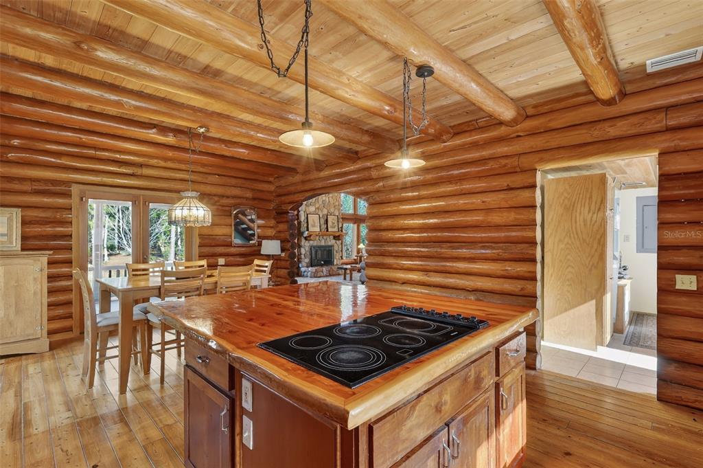 40242 Emeralda Island Road Leesburg, FL 34788 - Photo 4 of 32
