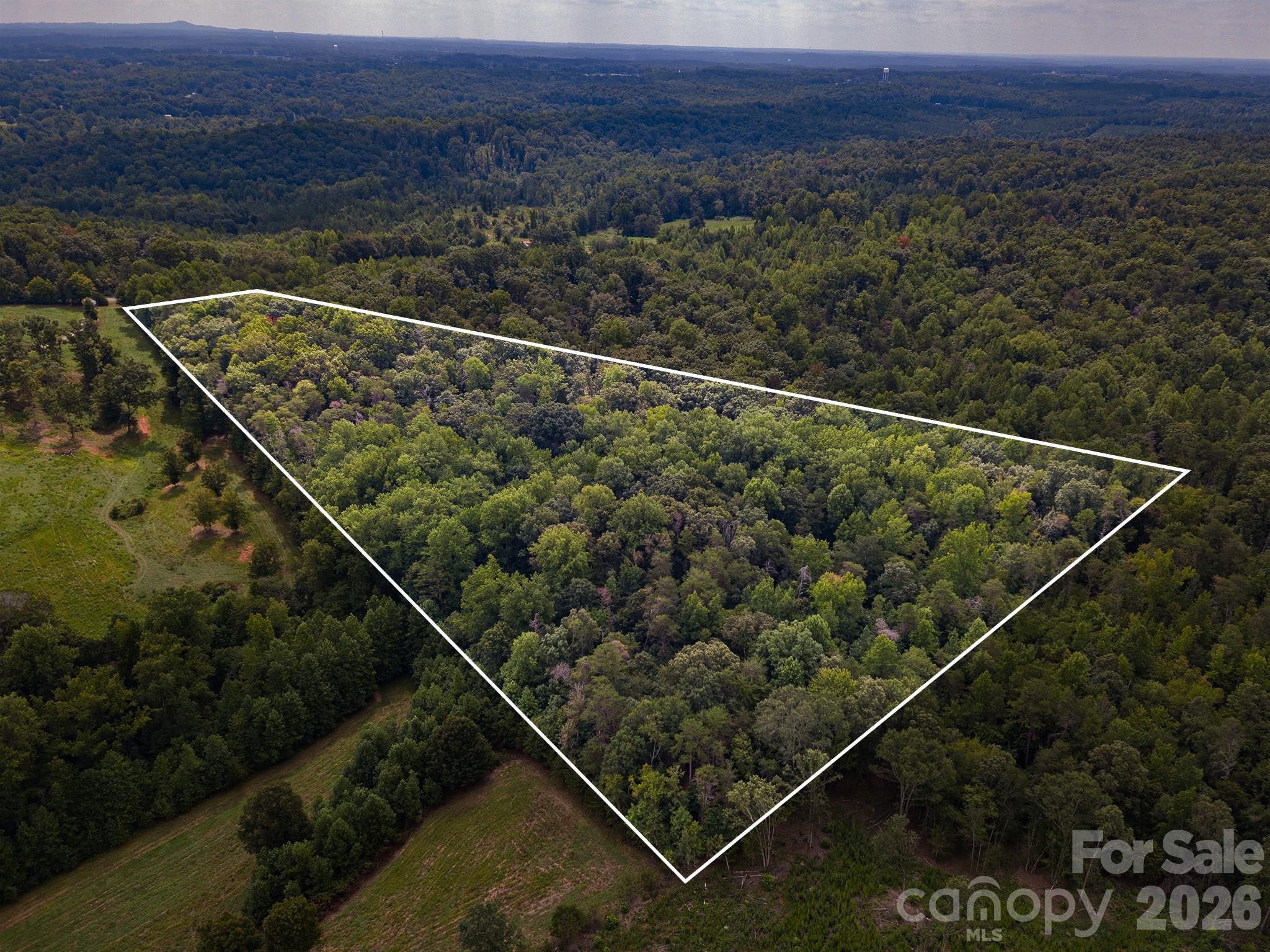 99999 Lail Road Rutherfordton, NC 28139 - Photo 8 of 15 Gallery Image 8