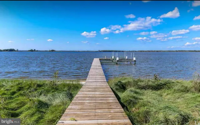 a view of a backyard with plants and a patio