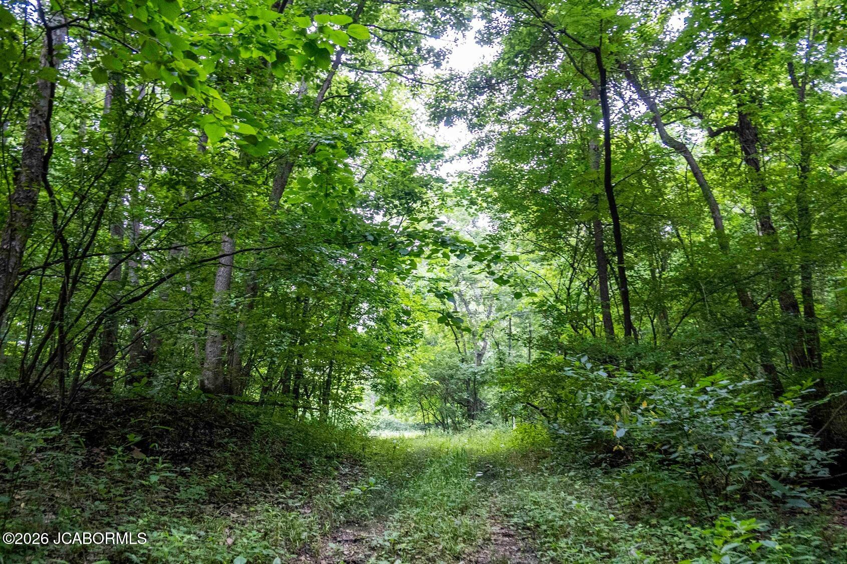 Tbd Talley Road Hartsburg, MO 65039 - Photo 93 of 106