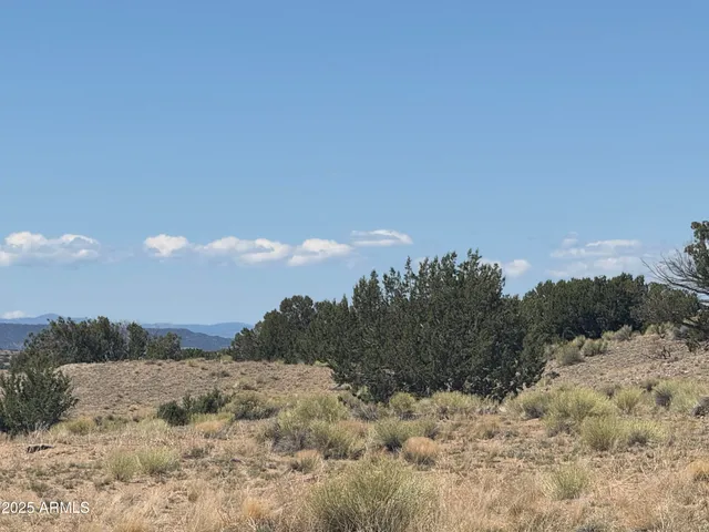 a view of a covered with snow in the background