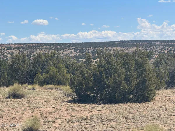 a view of a yard next to a yard