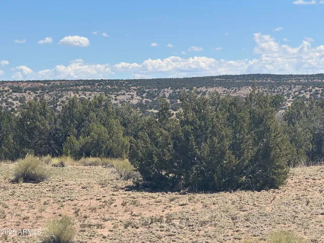 a view of a yard next to a yard