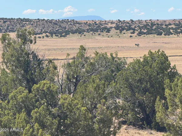 a view of a lake with a city