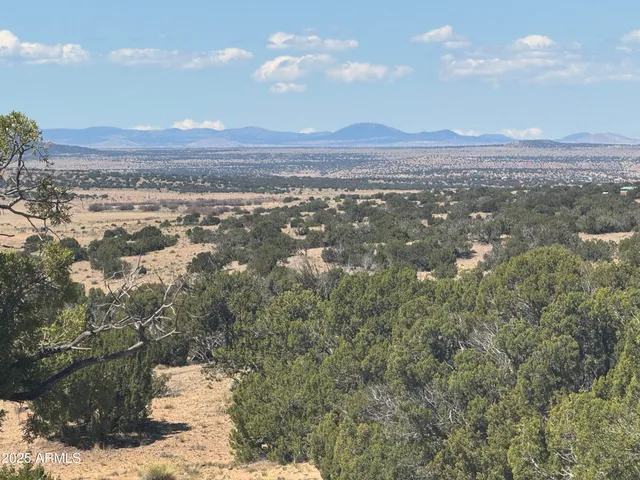 a view of city and mountain