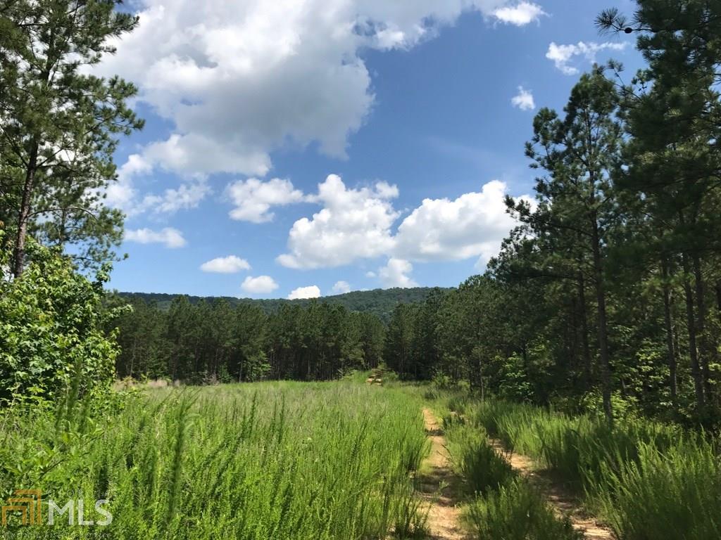 0 County Rd 80 Gaylesville, AL 35973 - Photo 1 of 1 a view of a big yard