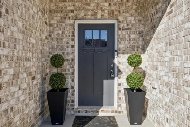 a potted plant sitting in front of a door