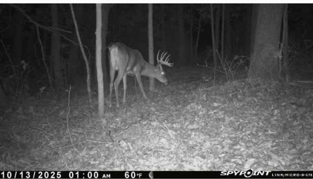 East 280th Street Ridgeway, MO 64481 - Photo 14 of 17