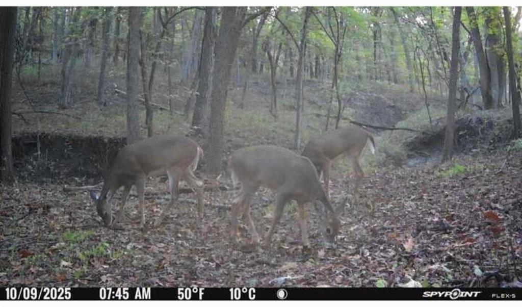 East 280th Street Ridgeway, MO 64481 - Photo 15 of 17