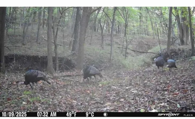 $480,000 | East 280th Street, Ridgeway, MO 64481