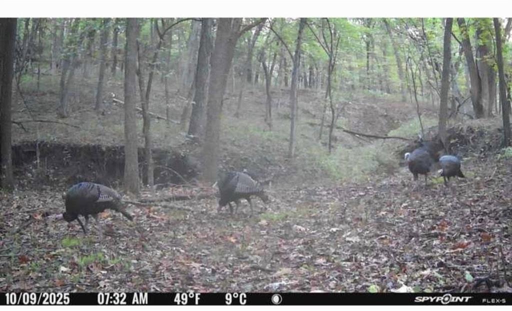 East 280th Street Ridgeway, MO 64481 - Photo 16 of 17