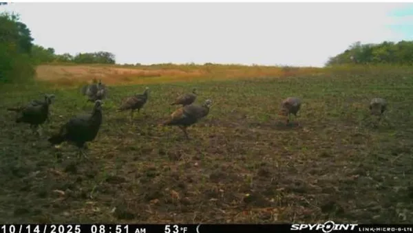 $440,000 | East 280th Street, Ridgeway, MO 64481