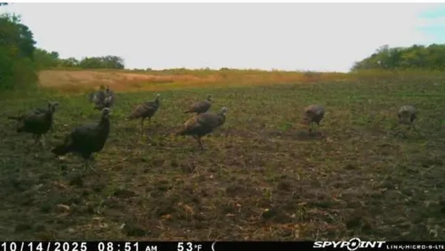 $480,000 | East 280th Street, Ridgeway, MO 64481