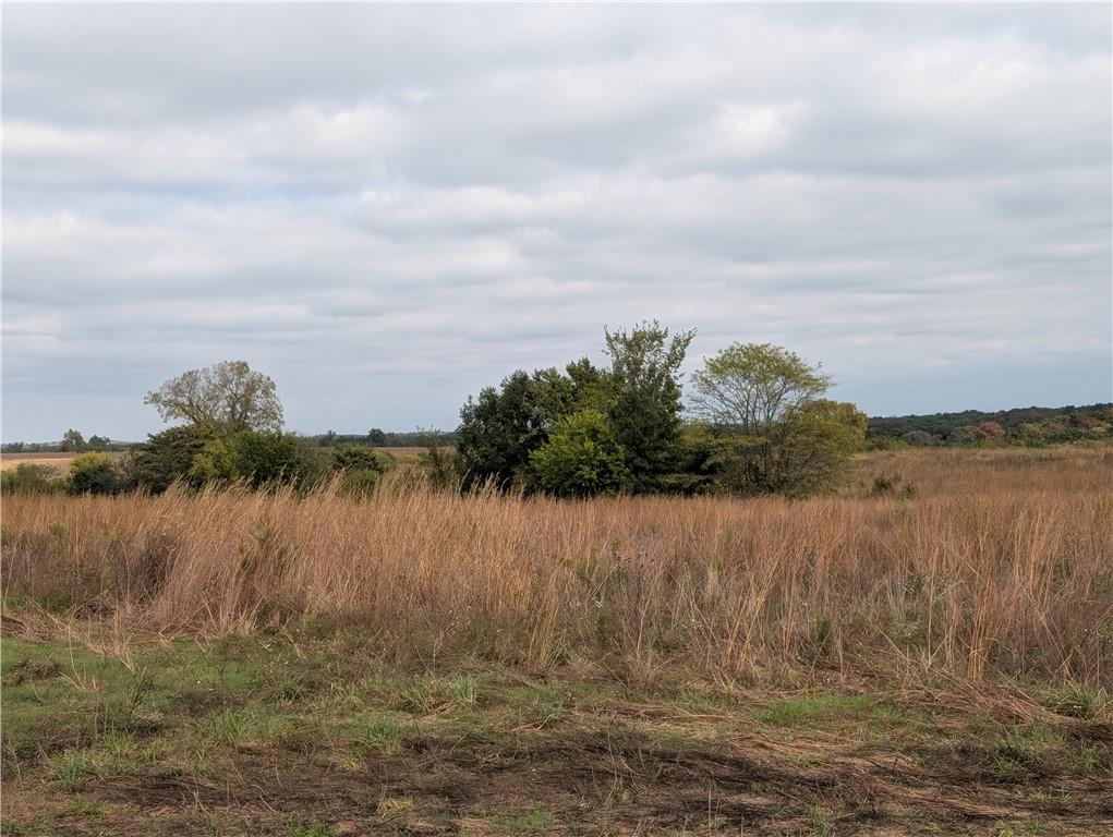 East 280th Street Ridgeway, MO 64481 - Photo 3 of 17