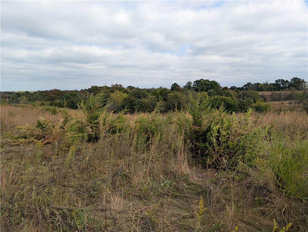 East 280th Street Ridgeway, MO 64481 - Photo 5 of 17