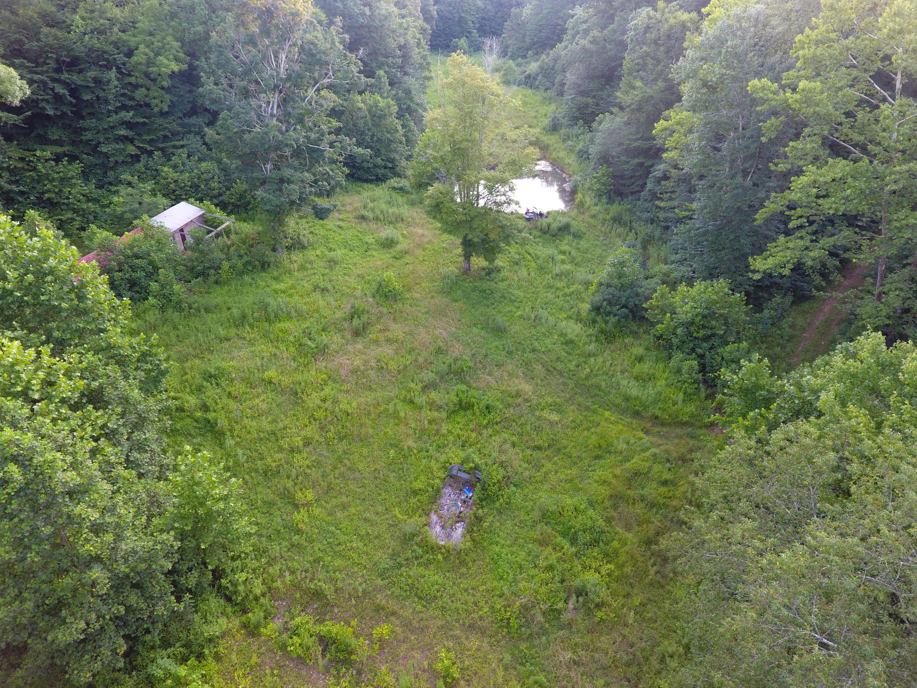 0 Spring Road Wallingford, KY 41093 - Photo 20 of 48 DJI_0450_275