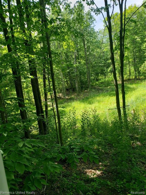 2469 East Spruce Road Spruce, MI 48762 - Photo 17 of 48