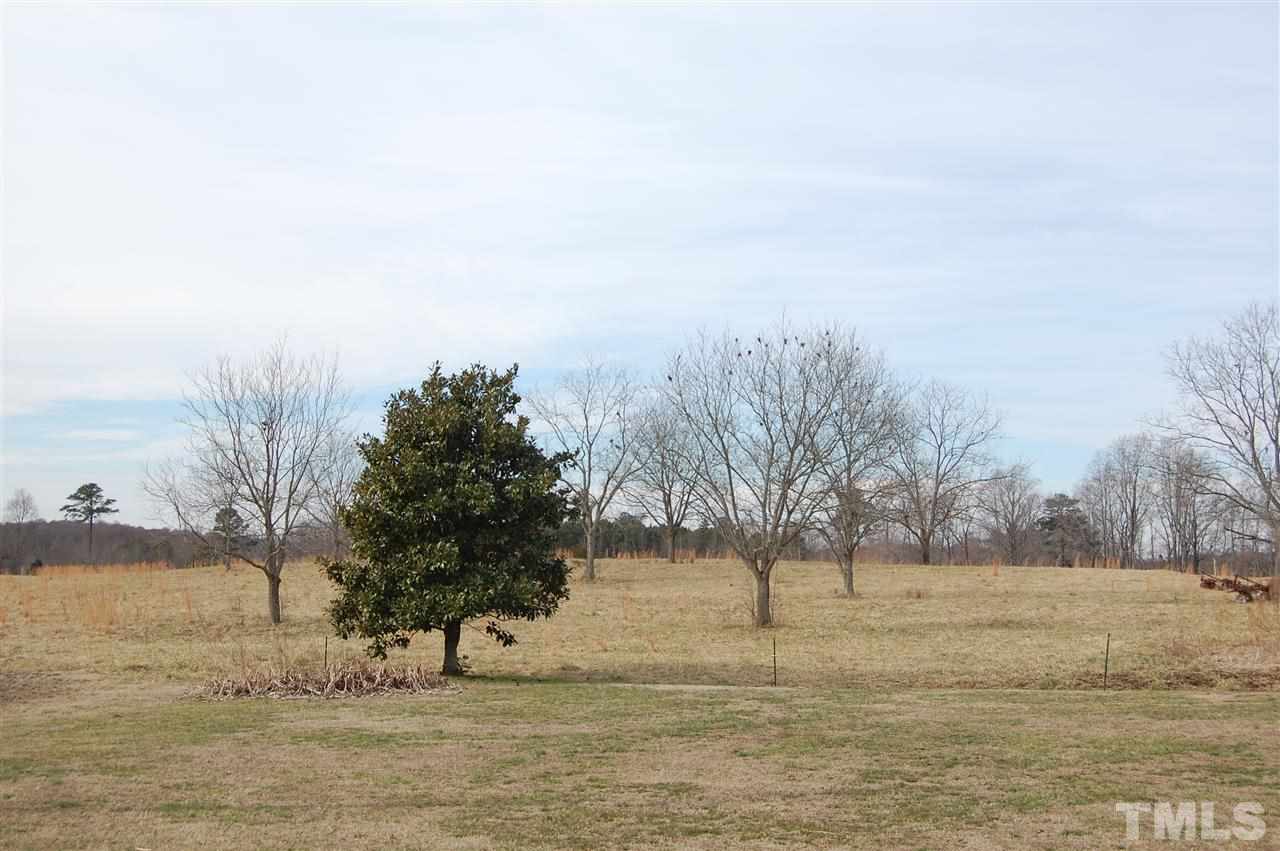 6740 Good Life Road Wendell, NC 27591 - Photo 24 of 25 a view of ocean view with large trees