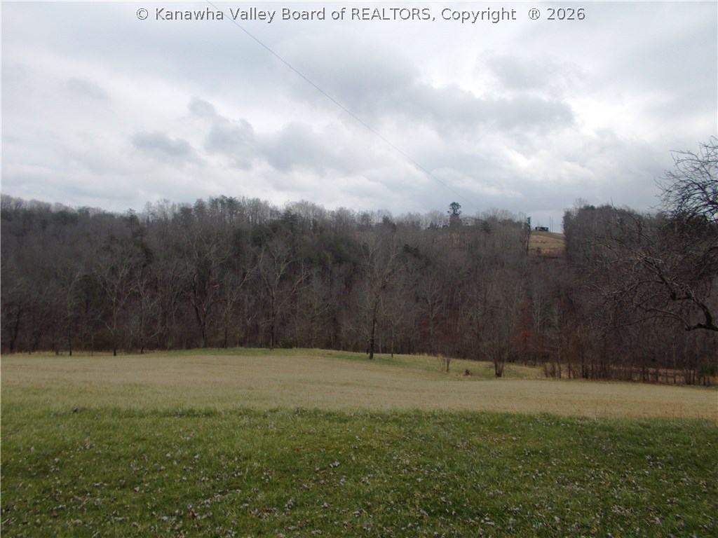 7938 Stone Lick Road Gay, WV 25244 - Photo 24 of 29 Gallery Image 24