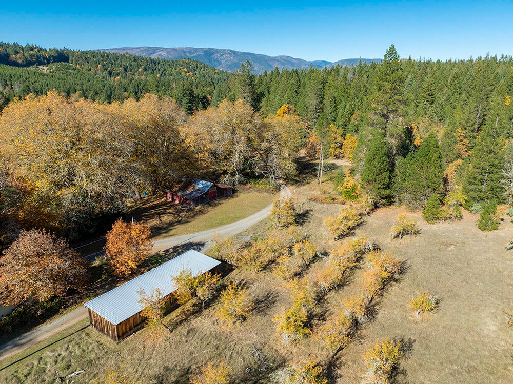 1263 Waldo Road Cave Junction, OR 97523 - Photo 65 of 82 64.5