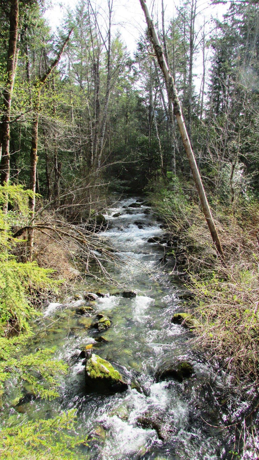 2005 Murphy Creek Road Grants Pass, OR 97527 - Photo 18 of 18 Additional Photo