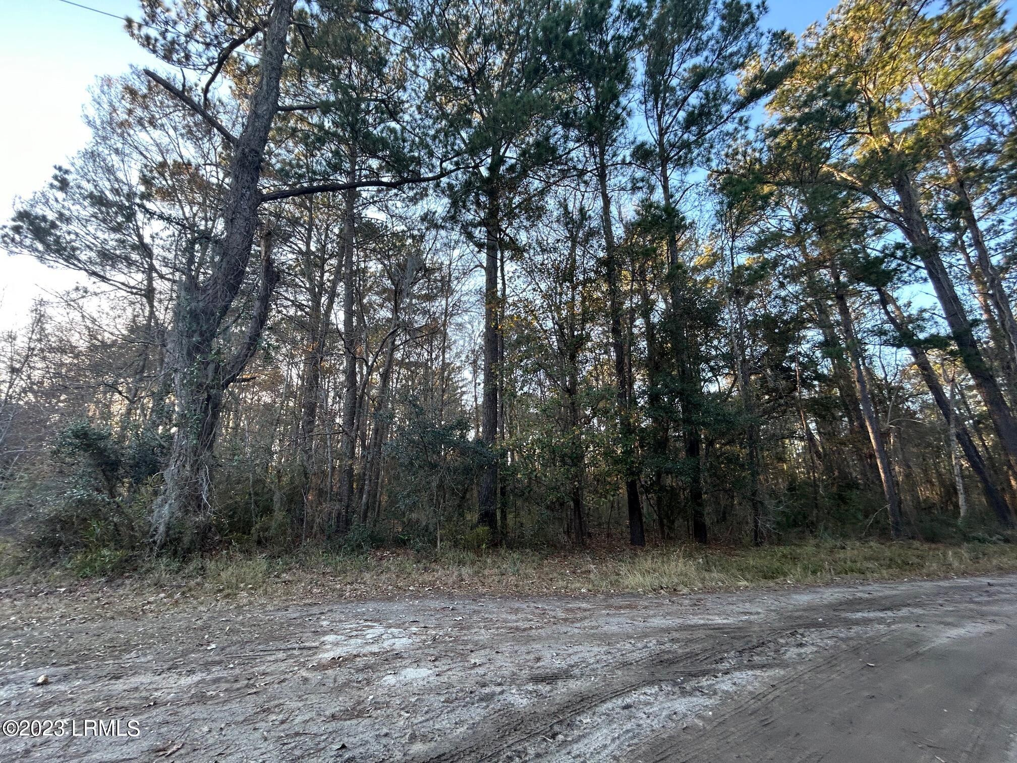 22 Honeybee Island Road Seabrook, SC 29940 - Photo 1 of 4 22 Honeybee Island Rd