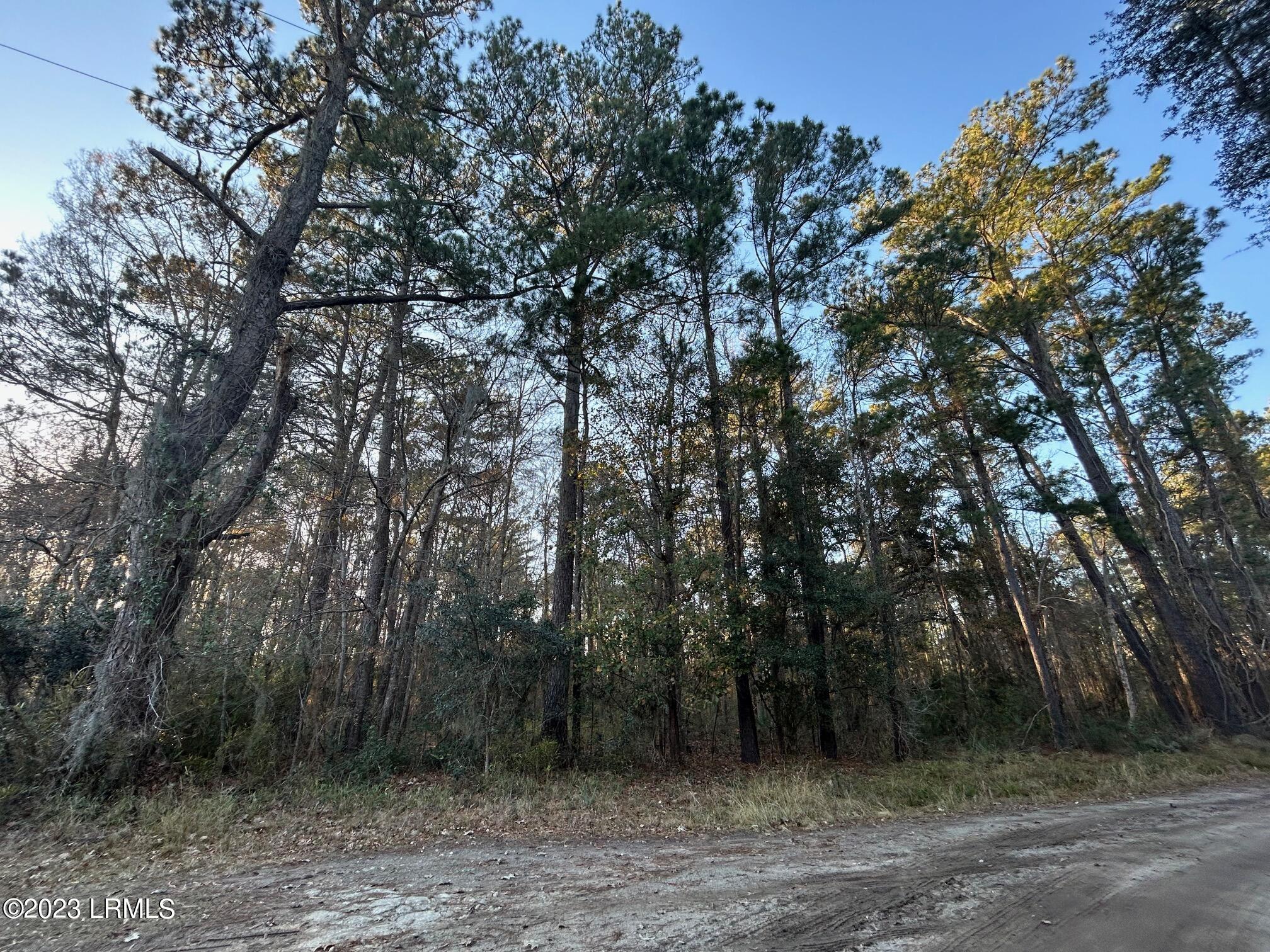 22 Honeybee Island Road Seabrook, SC 29940 - Photo 2 of 4 Heavily Wooded