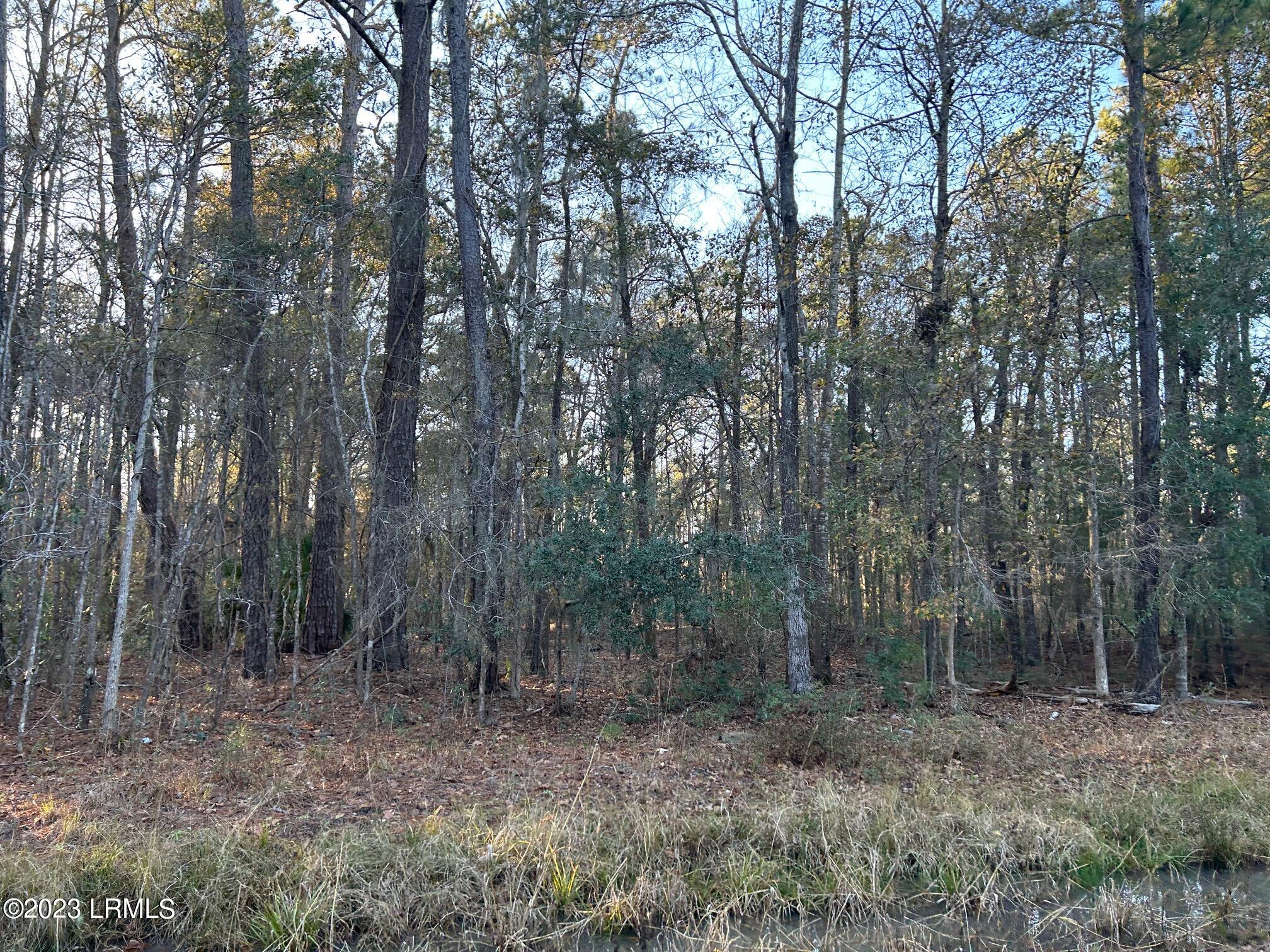 22 Honeybee Island Road Seabrook, SC 29940 - Photo 3 of 4 Heavily Wooded