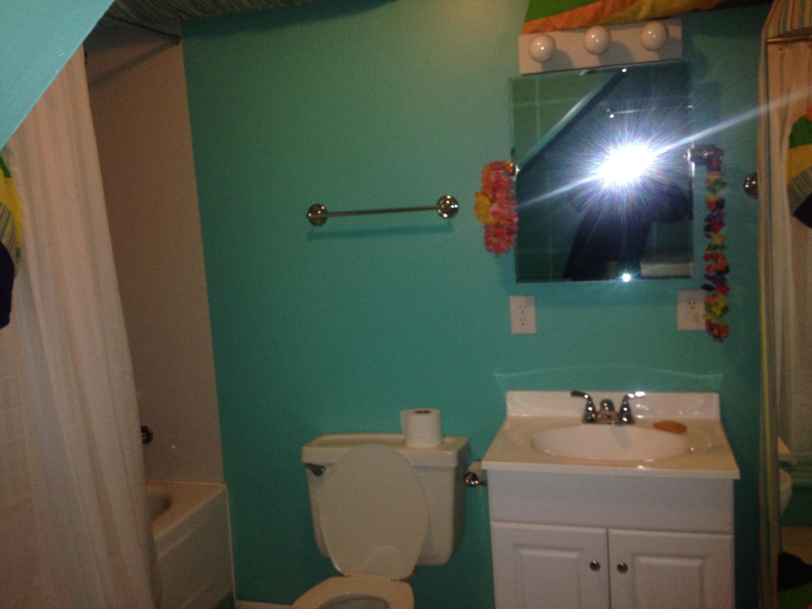5246 Alean Road Boones Mill, VA 24065 - Photo 28 of 31 Basement Bathroom