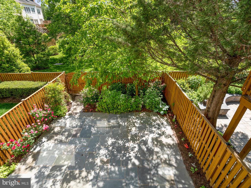 8918 2nd Avenue Silver Spring, MD 20910 - Photo 20 of 50 Gorgeous leafy views!