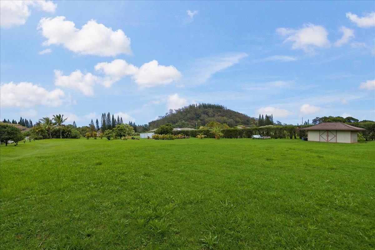 50 Uakoko Place Haiku, HI 96708 - Photo 37 of 49 Large Open Lawn