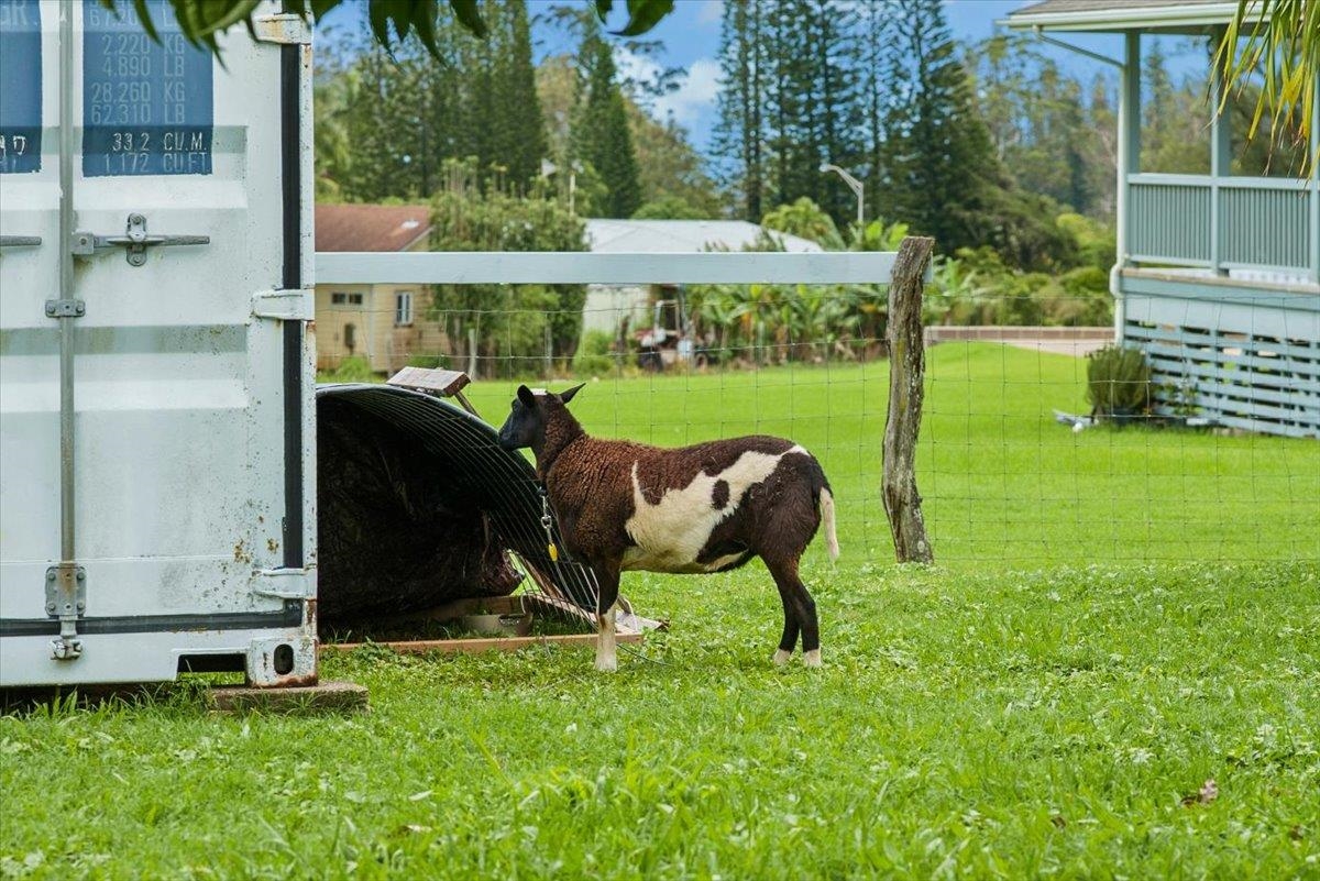 50 Uakoko Place Haiku, HI 96708 - Photo 39 of 49 Ag neighborhood