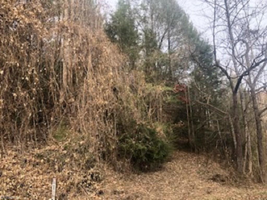 0 North Goforth Road Ferguson, NC 28624 - Photo 11 of 20 Gallery Image 11