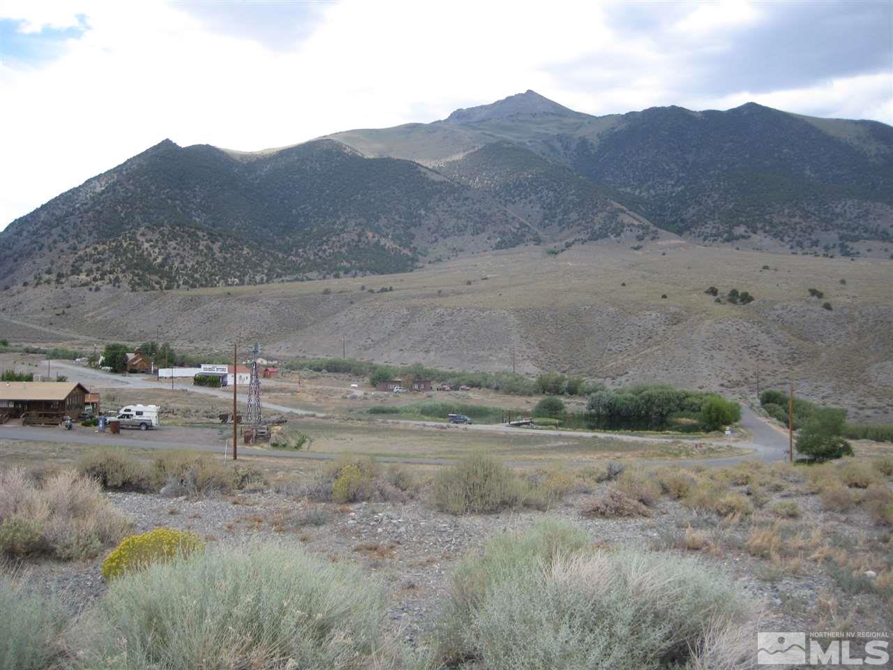 213 Sleeping Valley Road, Unit 8 Kingston, NV 89310 - Photo 7 of 12 a view of a dry field with lots of bushes