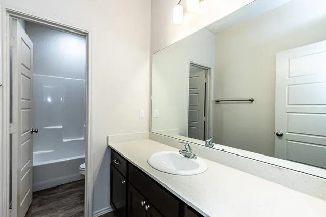 a bathroom with a sink and a mirror