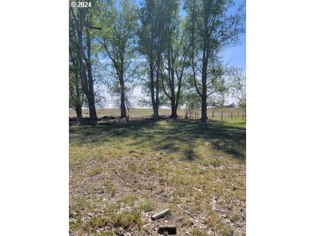 71823 Meadow Loop Boardman, OR 97818 - Photo 28 of 35 Gallery Image 28