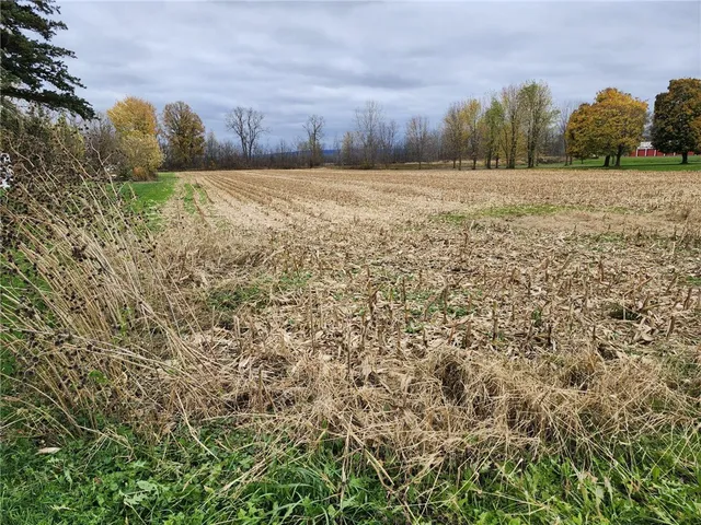 $69,999 | Mt Morris Geneseo Road, Mount Morris, NY 14510