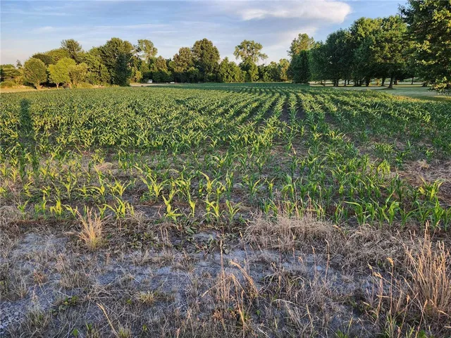 $69,999 | Mt Morris Geneseo Road, Mount Morris, NY 14510