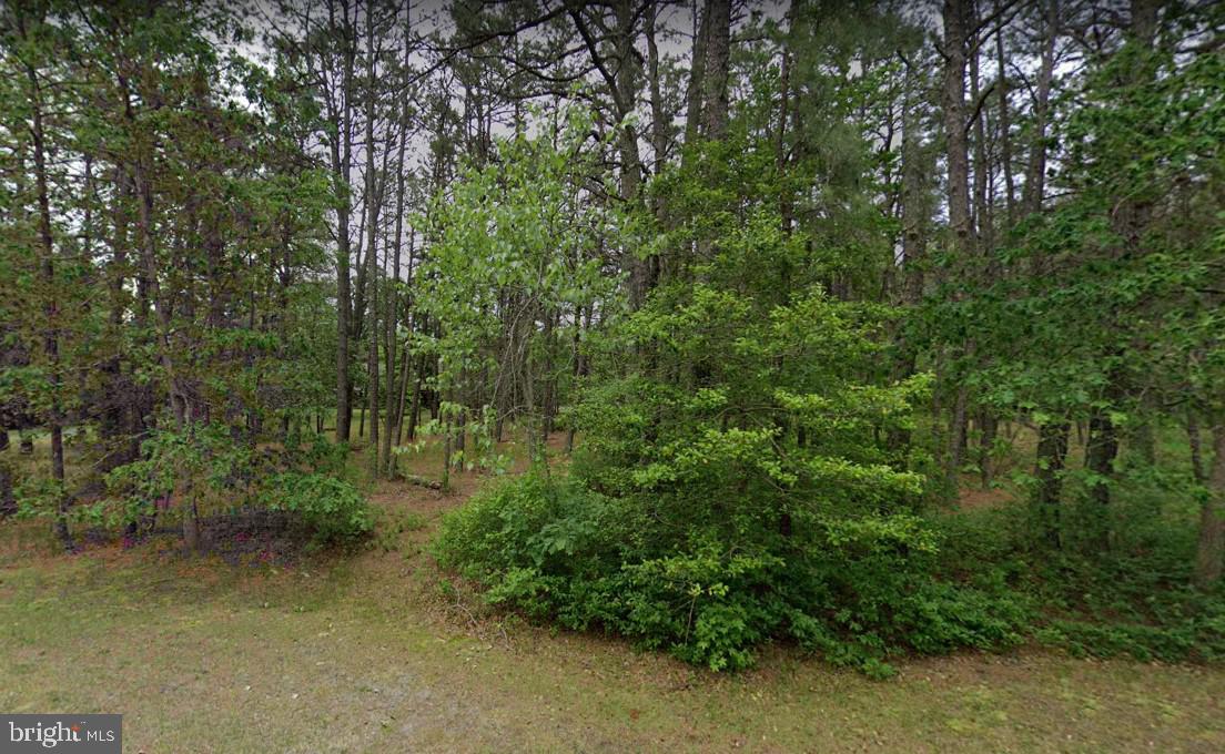 0 New Lisbon Road Pemberton, NJ 08068 - Photo 1 of 7